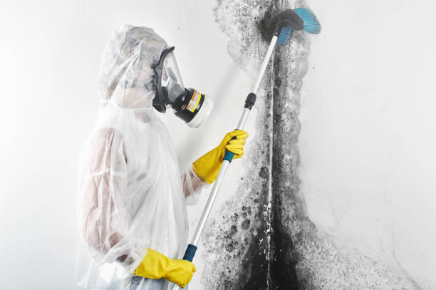 Best Air Quality Testing for Mold Spores  in Stanhope, NJ