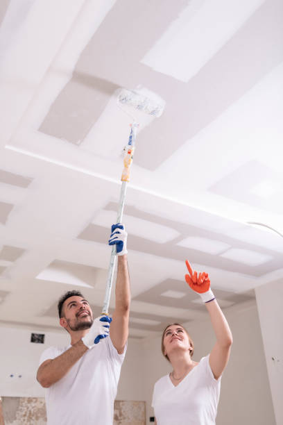 Stanhope, NJ Mold Removal Company