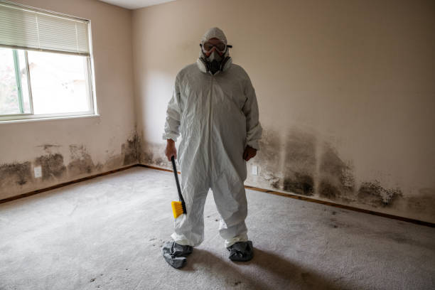 Best Airborne Mold Testing  in Stanhope, NJ