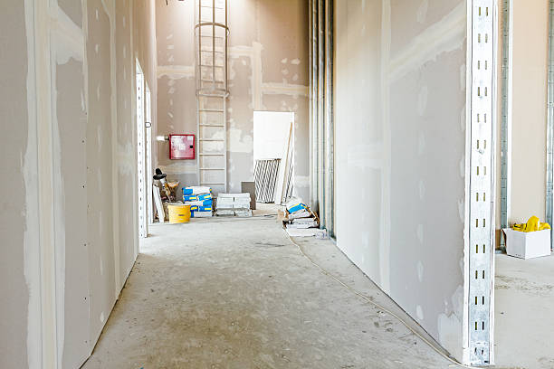 Best Mold Remediation for Vacation Homes  in Stanhope, NJ