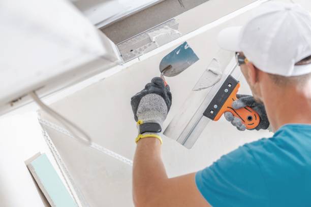 Best Post-Construction Mold Inspection  in Stanhope, NJ
